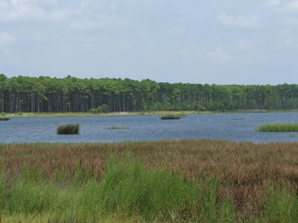 Yawkey Wildlife Center Featured on Discoversouthcarolina.com