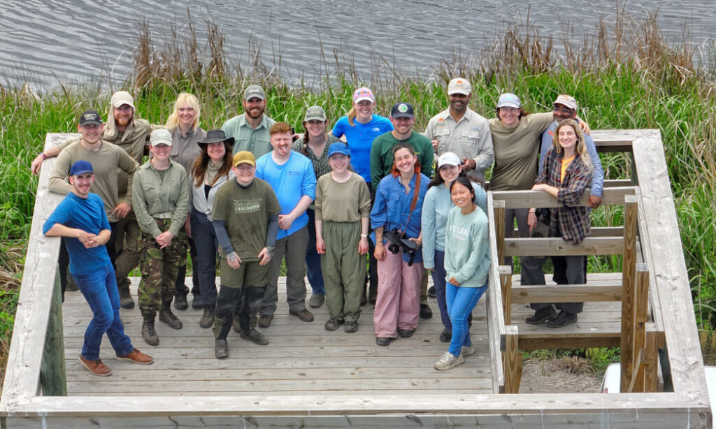 From Europe to South Carolina: Emerging wildlife researchers gain hands-on alligator research experience at Clemson workshop