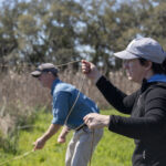 Researchers wrangle 12-foot gator on expedition into Tom Yawkey Wildlife Center